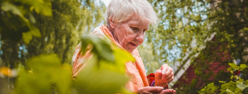 Older woman near plants